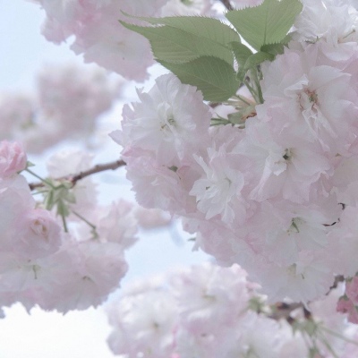 伊州福瑞交流群